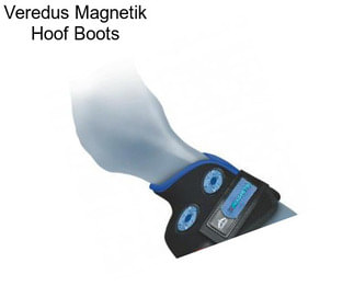 Veredus Magnetik Hoof Boots