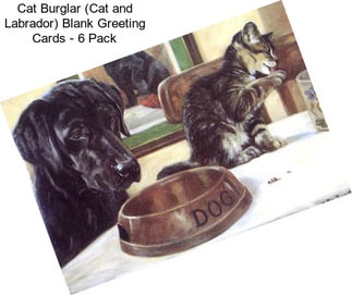 Cat Burglar (Cat and Labrador) Blank Greeting Cards - 6 Pack