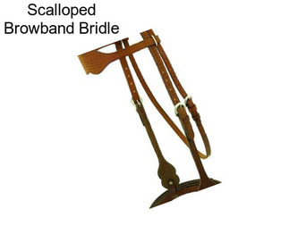 Scalloped Browband Bridle