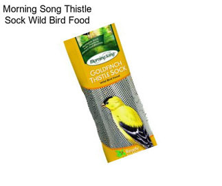 Morning Song Thistle Sock Wild Bird Food