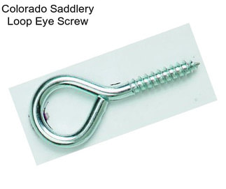 Colorado Saddlery Loop Eye Screw
