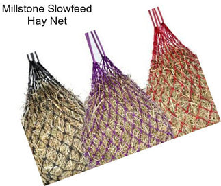 Millstone Slowfeed Hay Net