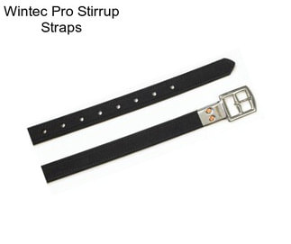 Wintec Pro Stirrup Straps