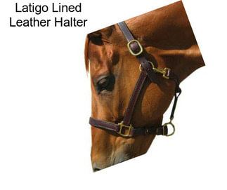 Latigo Lined Leather Halter