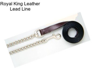 Royal King Leather Lead Line