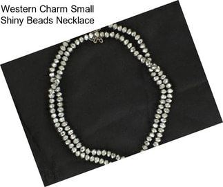 Western Charm Small Shiny Beads Necklace