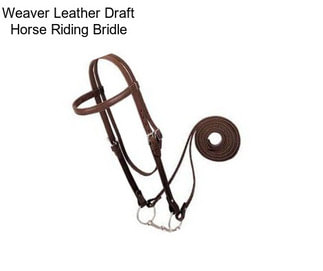 Weaver Leather Draft Horse Riding Bridle