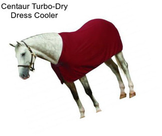 Centaur Turbo-Dry Dress Cooler