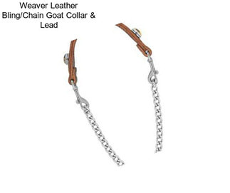 Weaver Leather Bling/Chain Goat Collar & Lead