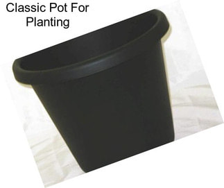 Classic Pot For Planting