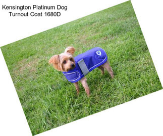 Kensington Platinum Dog Turnout Coat 1680D
