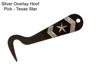 Silver Overlay Hoof Pick - Texas Star