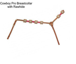 Cowboy Pro Breastcollar with Rawhide