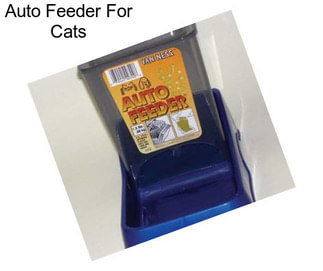 Auto Feeder For Cats