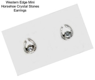 Western Edge Mini Horsehoe Crystal Stones Earrings