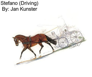 Stefano (Driving) By: Jan Kunster