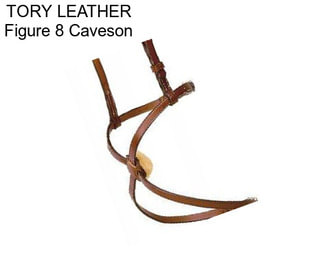 TORY LEATHER Figure 8 Caveson