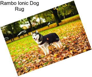 Rambo Ionic Dog Rug