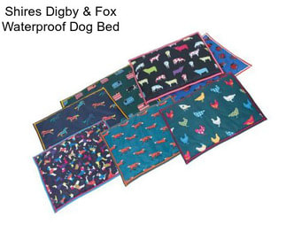 Shires Digby & Fox Waterproof Dog Bed