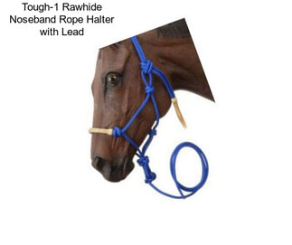 Tough-1 Rawhide Noseband Rope Halter with Lead