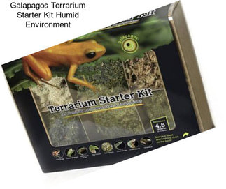 Galapagos Terrarium Starter Kit Humid Environment