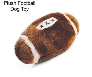 Plush Football Dog Toy