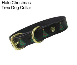 Halo Christmas Tree Dog Collar