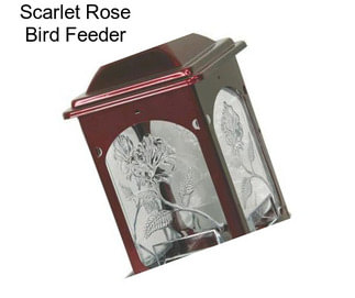 Scarlet Rose Bird Feeder