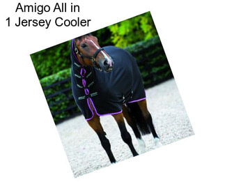 Amigo All in 1 Jersey Cooler