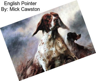 English Pointer By: Mick Cawston