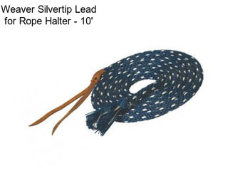 Weaver Silvertip Lead for Rope Halter - 10\'