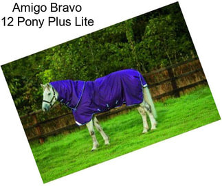 Amigo Bravo 12 Pony Plus Lite