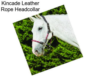 Kincade Leather Rope Headcollar