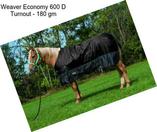 Weaver Economy 600 D Turnout - 180 gm