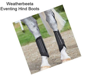 Weatherbeeta Eventing Hind Boots
