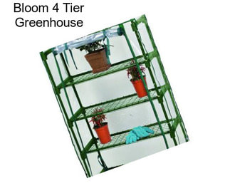 Bloom 4 Tier Greenhouse