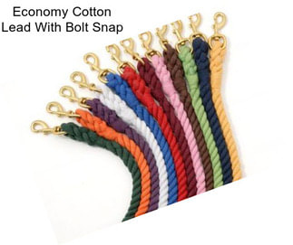 Economy Cotton Lead With Bolt Snap