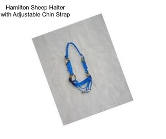 Hamilton Sheep Halter with Adjustable Chin Strap