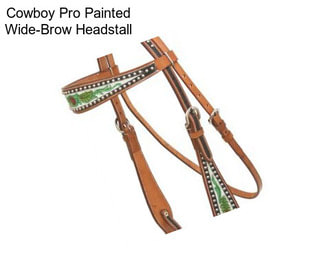 Cowboy Pro Painted Wide-Brow Headstall