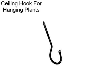 Ceiling Hook For Hanging Plants