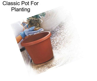 Classic Pot For Planting