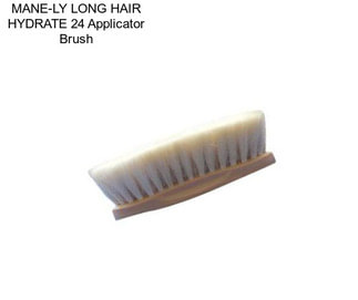 MANE-LY LONG HAIR HYDRATE 24 Applicator Brush