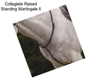 Collegiate Raised Standing Martingale ll