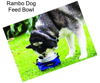 Rambo Dog Feed Bowl