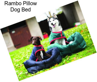 Rambo Pillow Dog Bed