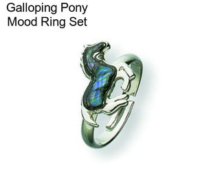 Galloping Pony Mood Ring Set