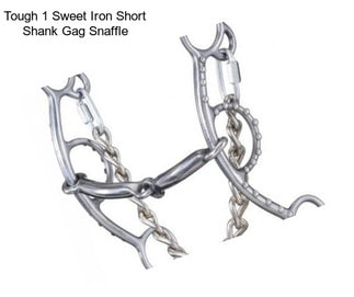 Tough 1 Sweet Iron Short Shank Gag Snaffle