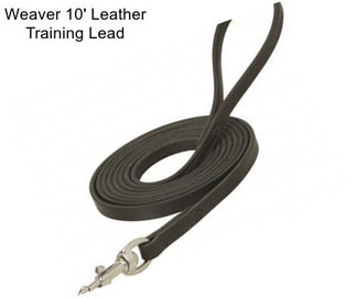 Weaver 10\' Leather Training Lead