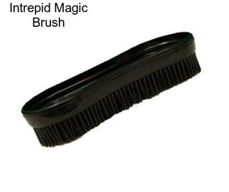 Intrepid Magic Brush