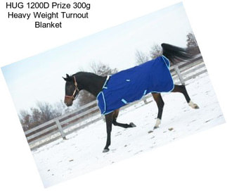 HUG 1200D Prize 300g Heavy Weight Turnout Blanket